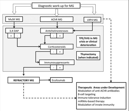 Figure 5: Flowchart summary of treatment strategies for the main serological subtypes of MG5