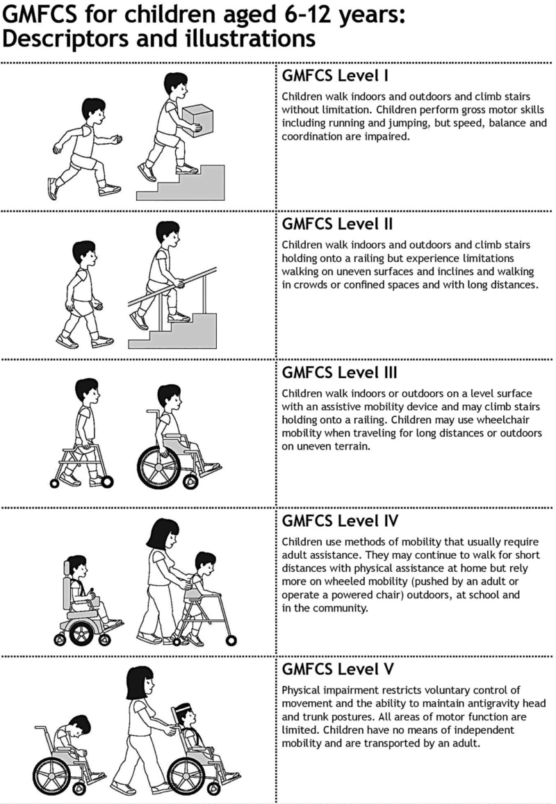Chailey Assessment.pdf Cerebral Palsy - Neuropedia - Neuropathology of brain