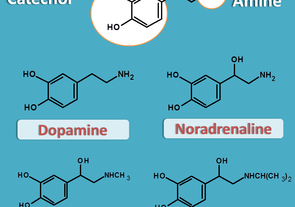 Adrenergic neurotransmitters