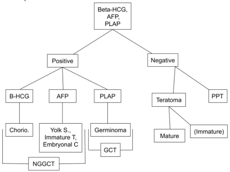 neuropedia-neurosurgery-oncology-pineal-gland-tumors