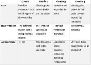 Table 1: describes IVH severity grades depending on the amount of bleeding.