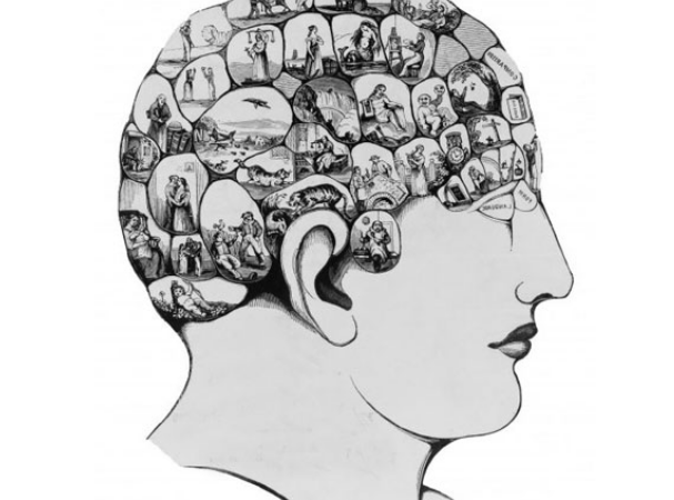 Functional areas of the brain