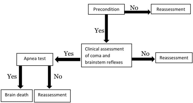 Criteria Of Brain Death - Neuropedia